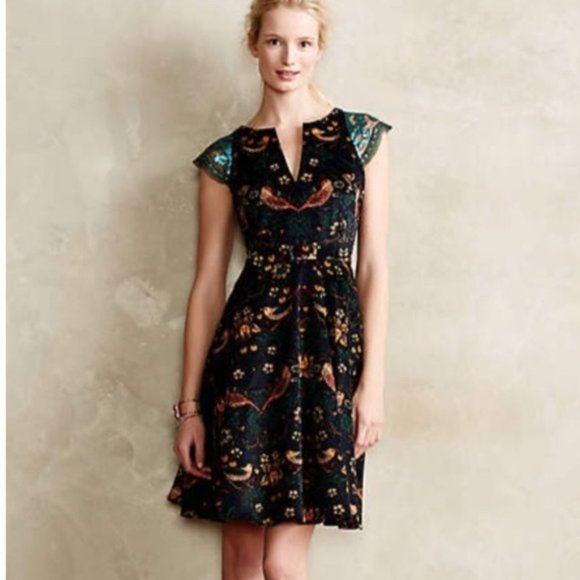 Eva Franco Larksong Corduroy Bird Print 